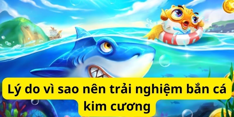 Mẹo đánh rồng hổ - Hướng dẫn từ A đến Z để thành công 10 image 283