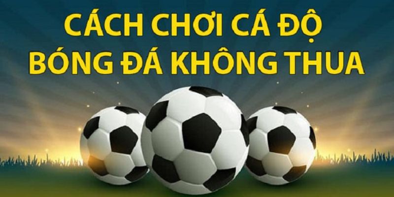 Mẹo đánh rồng hổ - Hướng dẫn từ A đến Z để thành công 8 image 17